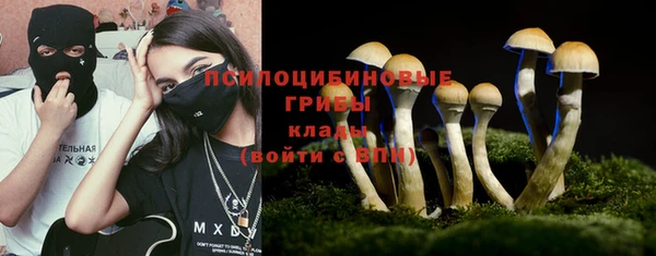 гидропоника Карпинск