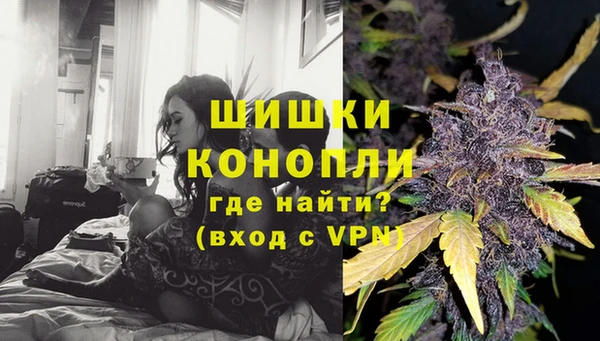 гидропоника Карпинск