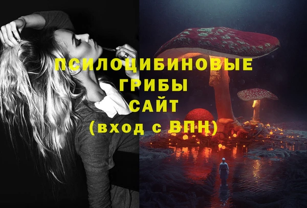 бутират Касимов