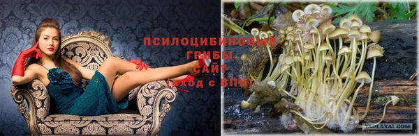 бутират Касимов